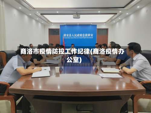 商洛市疫情防控工作纪律(商洛疫情办公室)-第2张图片