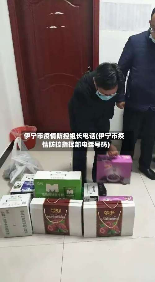 伊宁市疫情防控组长电话(伊宁市疫情防控指挥部电话号码)-第2张图片