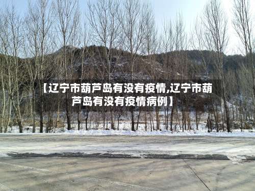 【辽宁市葫芦岛有没有疫情,辽宁市葫芦岛有没有疫情病例】-第3张图片