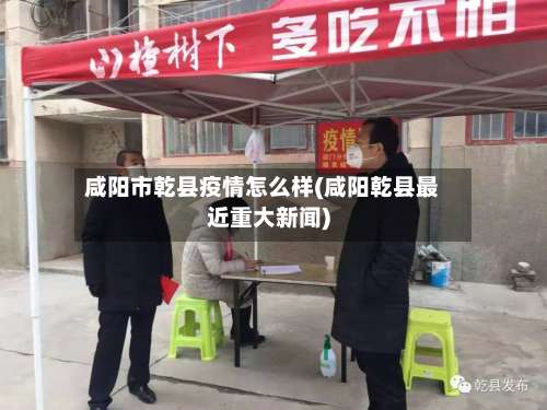 咸阳市乾县疫情怎么样(咸阳乾县最近重大新闻)-第1张图片