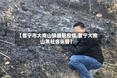 【普宁市大南山镇最新疫情,普宁大南山黑社会头目】-第1张图片