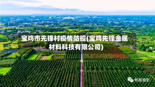 宝鸡市先锋村疫情防控(宝鸡先锋金属材料科技有限公司)-第2张图片