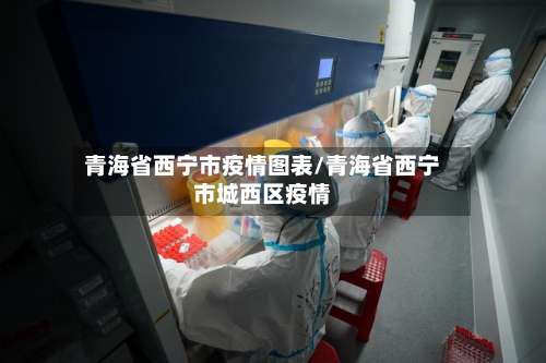 青海省西宁市疫情图表/青海省西宁市城西区疫情-第1张图片