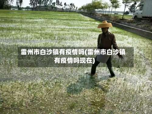 雷州市白沙镇有疫情吗(雷州市白沙镇有疫情吗现在)-第1张图片