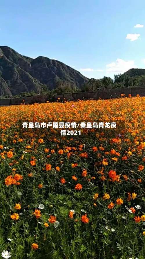 青皇岛市卢隆县疫情/秦皇岛青龙疫情2021-第2张图片