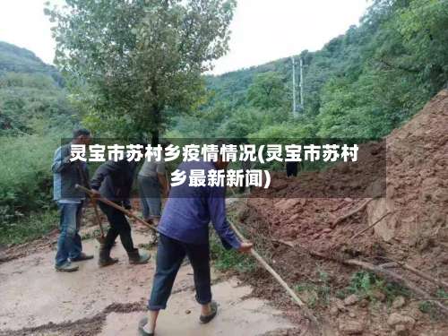 灵宝市苏村乡疫情情况(灵宝市苏村乡最新新闻)-第2张图片