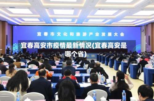 宜春高安市疫情最新情况(宜春高安是哪个省)-第3张图片