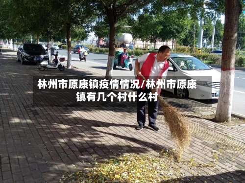 林州市原康镇疫情情况/林州市原康镇有几个村什么村-第3张图片