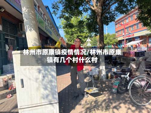 林州市原康镇疫情情况/林州市原康镇有几个村什么村-第1张图片