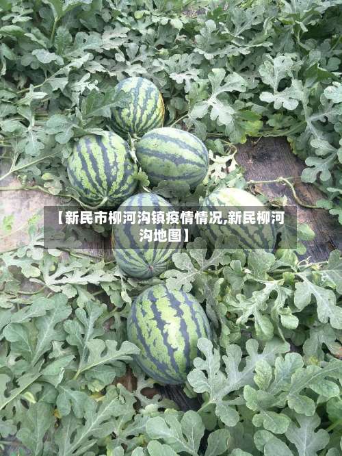 【新民市柳河沟镇疫情情况,新民柳河沟地图】-第1张图片