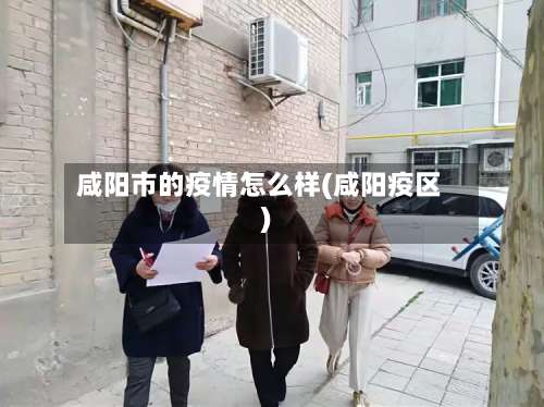咸阳市的疫情怎么样(咸阳疫区)-第1张图片