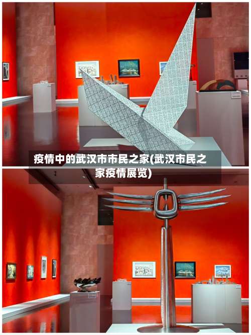 疫情中的武汉市市民之家(武汉市民之家疫情展览)-第3张图片