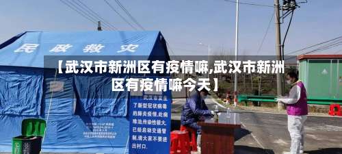 【武汉市新洲区有疫情嘛,武汉市新洲区有疫情嘛今天】-第1张图片