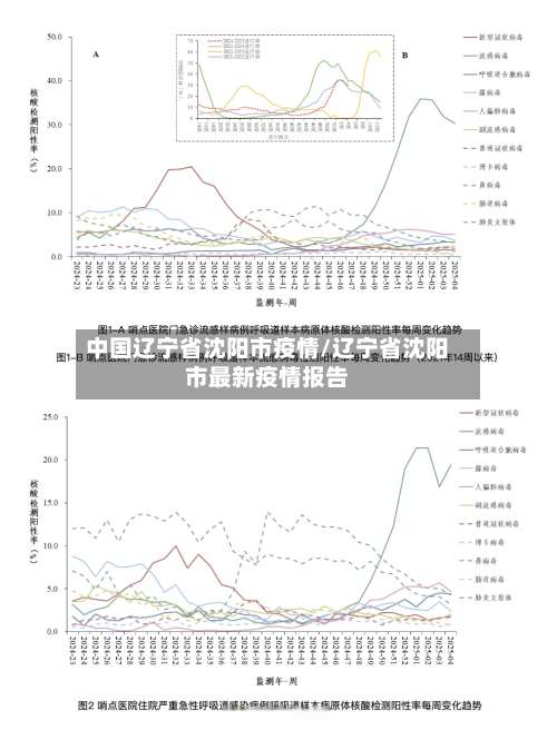 中国辽宁省沈阳市疫情/辽宁省沈阳市最新疫情报告-第1张图片