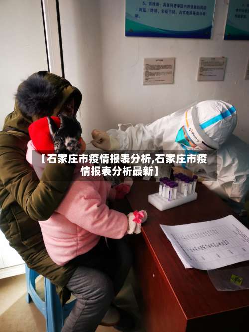 【石家庄市疫情报表分析,石家庄市疫情报表分析最新】-第2张图片