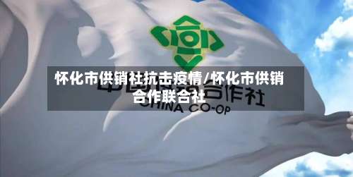 怀化市供销社抗击疫情/怀化市供销合作联合社-第1张图片