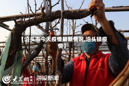 【泊头市今天疫情最新情况,泊头镇疫情】-第2张图片
