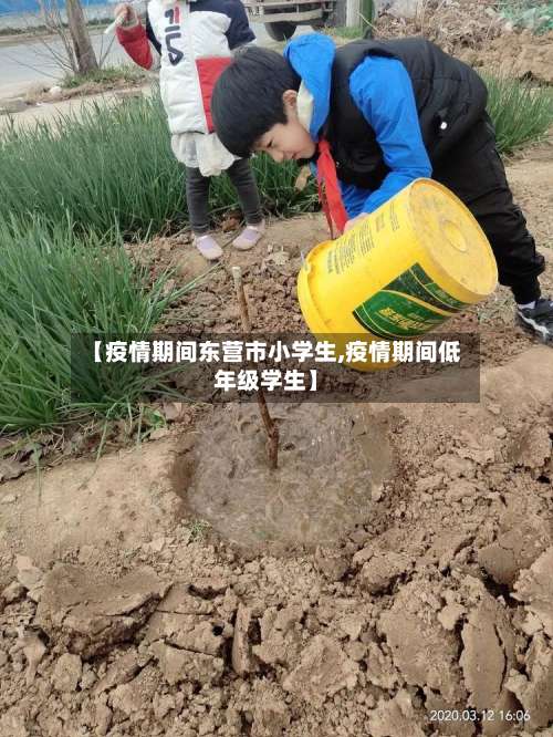 【疫情期间东营市小学生,疫情期间低年级学生】-第1张图片
