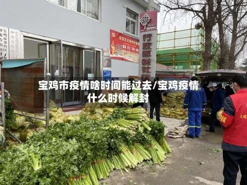 宝鸡市疫情啥时间能过去/宝鸡疫情什么时候解封-第3张图片