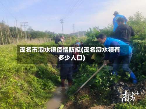 茂名市泗水镇疫情防控(茂名泗水镇有多少人口)-第1张图片