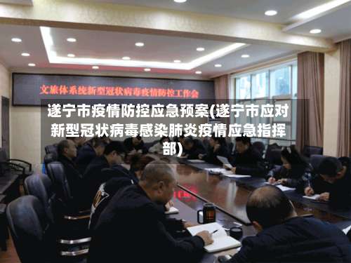 遂宁市疫情防控应急预案(遂宁市应对新型冠状病毒感染肺炎疫情应急指挥部)-第1张图片