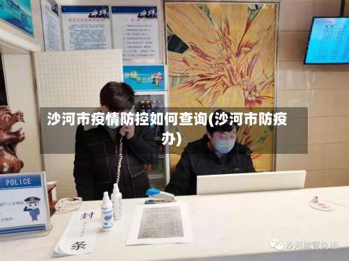 沙河市疫情防控如何查询(沙河市防疫办)-第1张图片