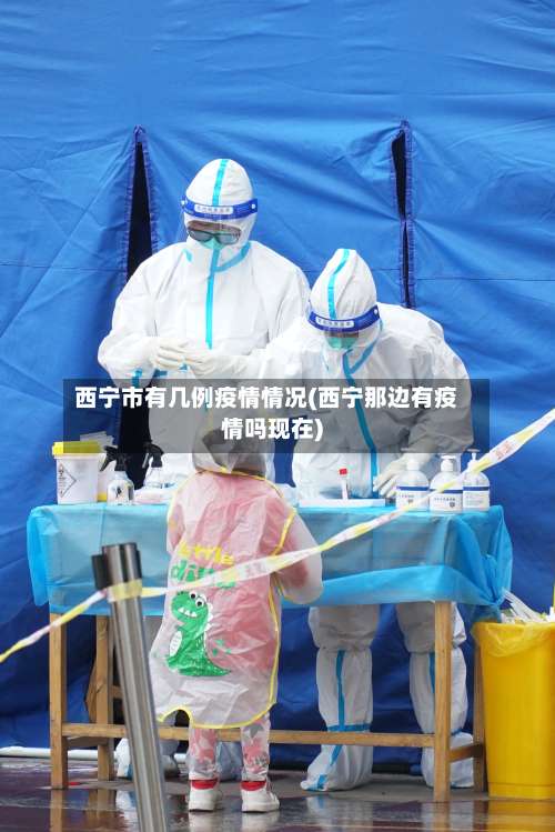 西宁市有几例疫情情况(西宁那边有疫情吗现在)-第2张图片