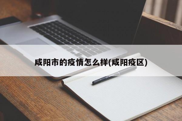 咸阳市的疫情怎么样(咸阳疫区)